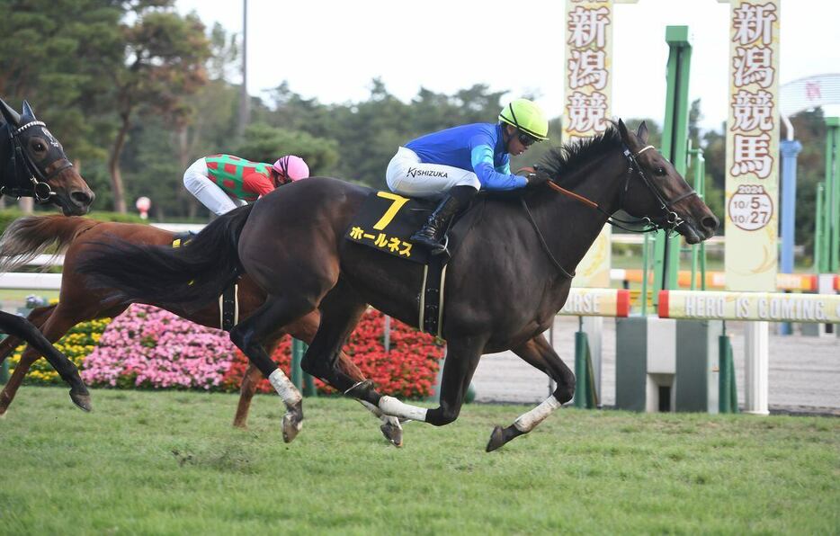 新潟牝馬ステークスを勝ったホールネス＝10月20日、新潟競馬場（撮影・菅原和彦）