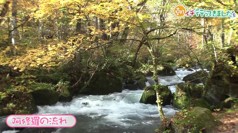 奥入瀬渓流「阿修羅の流れ」