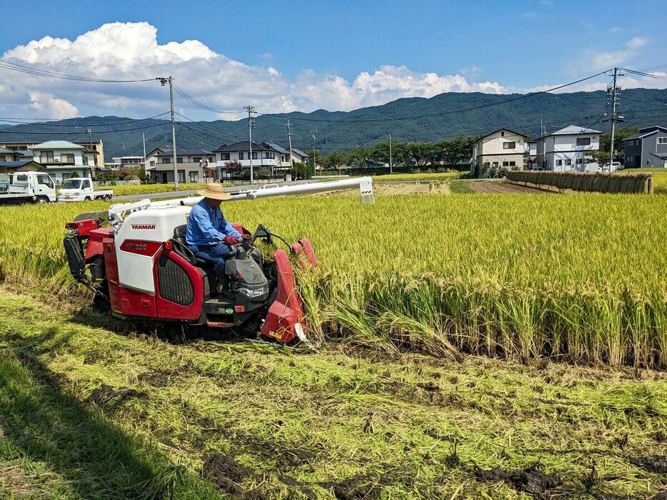 新米が出回り始めたが価格は高騰している＝長野県諏訪市、米倉昭仁撮影