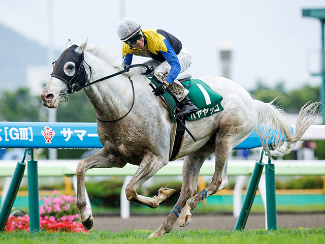 重賞3勝目を目指すハヤヤッコ(撮影：山中博喜)