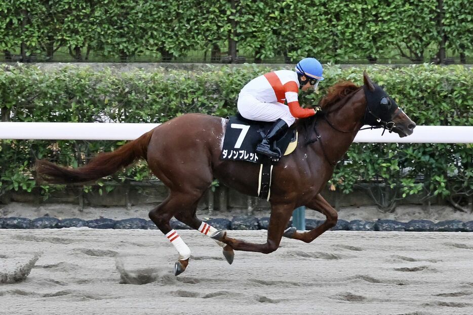 神無月S・ダノンブレットと横山典弘騎手