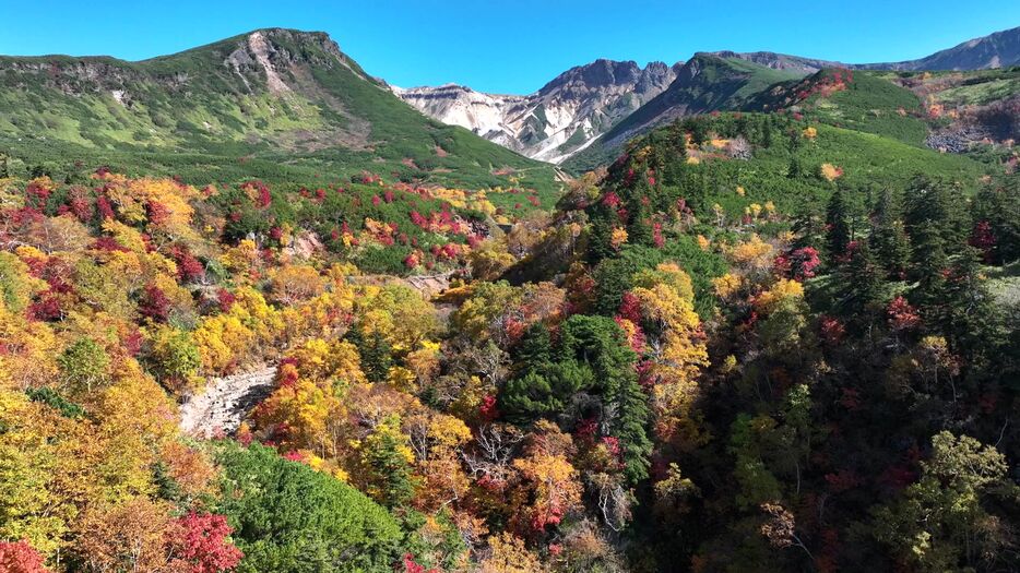 紅葉のピーク間近の十勝岳