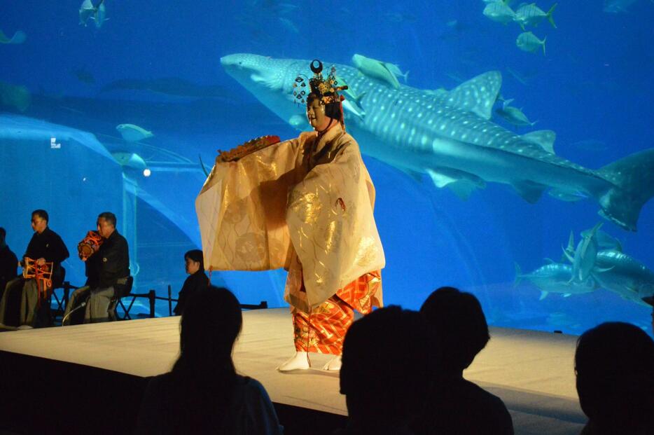 沖縄美ら海水族館の「黒潮の海」大水槽前で披露される能楽＝９月20日、本部町