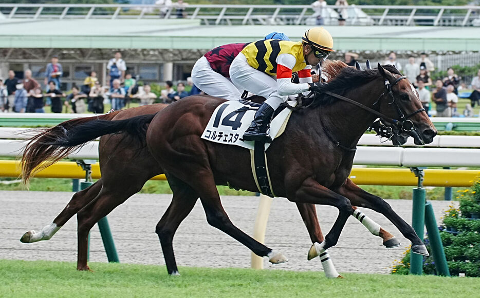 東京6R・コルチェスターと戸崎圭太騎手 (C)スポニチ