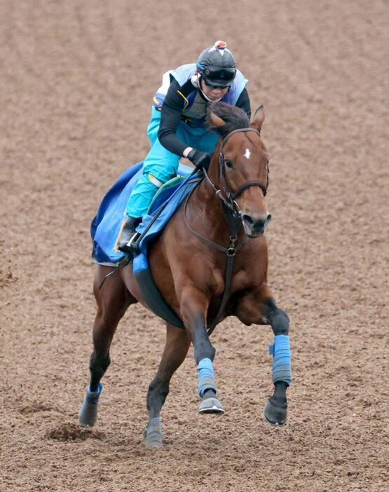 クロミナンス＝美浦トレセン（撮影・塩浦孝明）