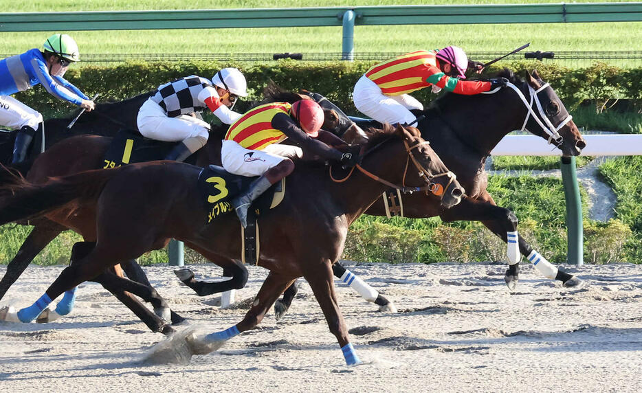 東京11R、ブラジルCを制したグロリアムンディと北村宏騎手（奥）。手前は2着メイプルリッジ