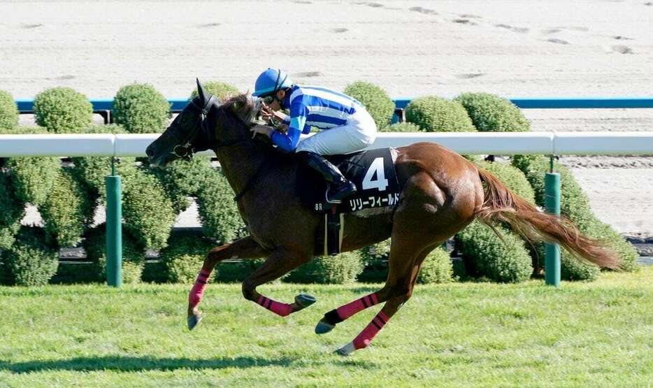 もみじSを制したリリーフィールド＝京都競馬場（撮影・榎本雅弘）