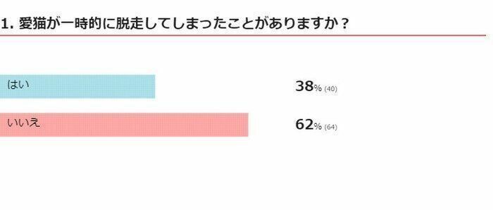 ※2024年6月実施「ねこのきもちアプリ」内アンケート調査 （回答者数 104人）