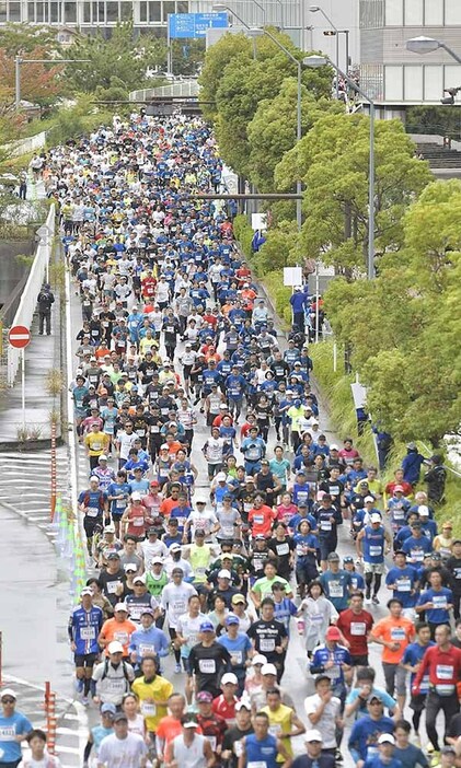 昨年行われた横浜マラソンの様子＝２３年１０月２９日、横浜市内