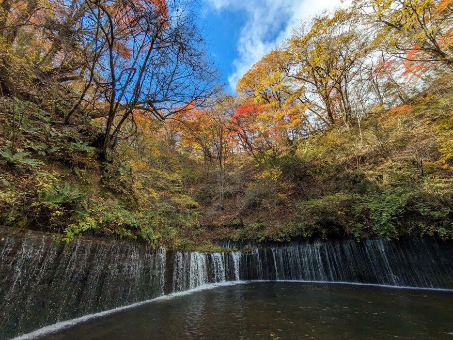 白糸の滝も紅葉が進んでいる。（2024年10月30日撮影）