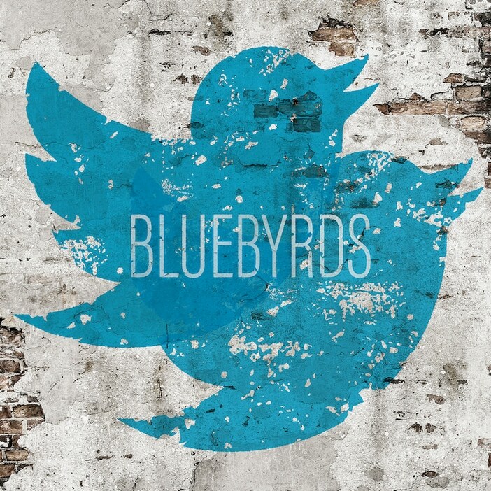 BLUEBYRDS「BLUEBYRDS」配信ジャケット