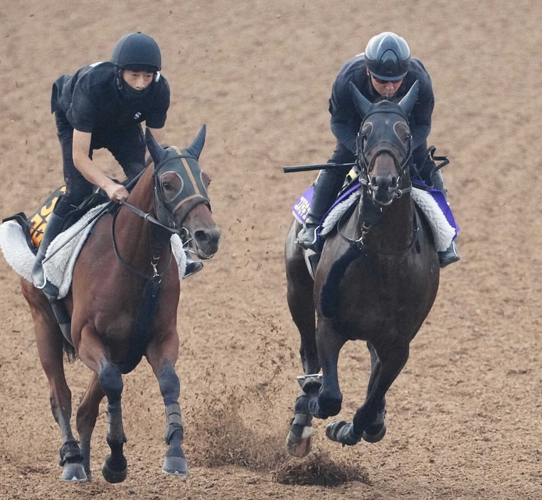 伸びのあるフットワークで駆け抜けたコスモキュランダ（右）