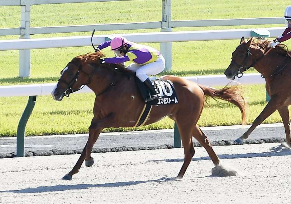 京都8R・なでしこ賞　好位から抜け出し2勝目をあげたコスモストーム＝京都競馬場（撮影・林俊志）