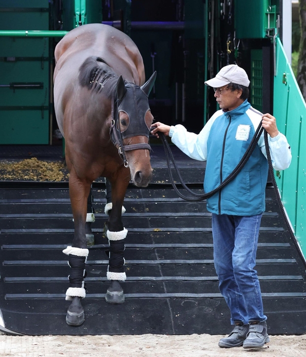 　東京競馬場に到着したリバティアイランド