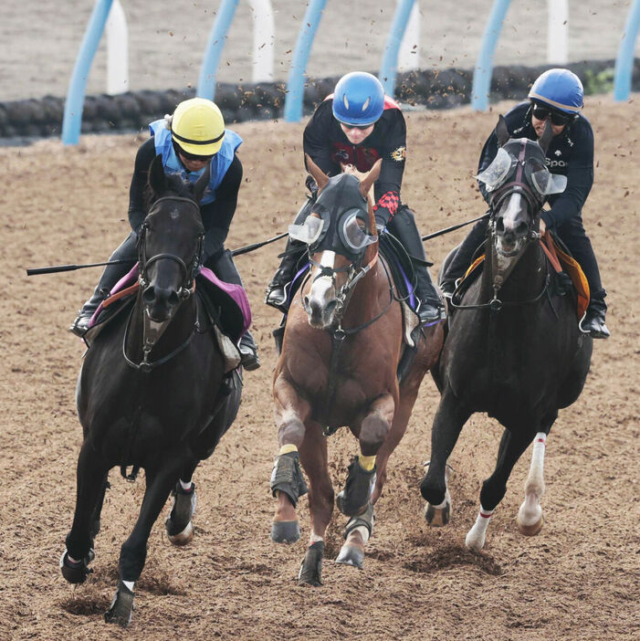 石神深が手綱を執ったアーバンシック（中）は３頭併せで軽快な脚さばき