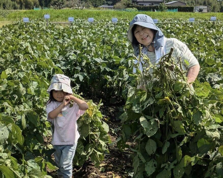 枝豆の収穫体験を楽しむ家族連れ