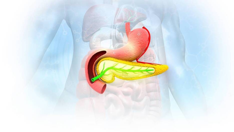 膵臓は沈黙の臓器。だから最も怖い…医師が教える、「膵臓がん」の意外なサインとは
