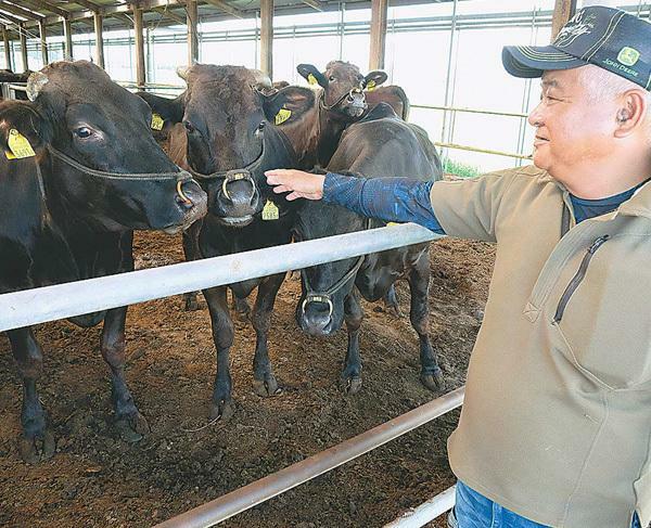 飼育する繁殖雌牛と十河会長（宮崎市で）