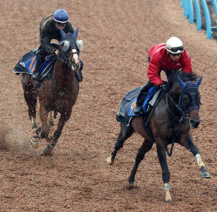 オメガギネス（左）は美浦ウッドで先行するグラニットを追い上げた（撮影・丹羽敏通）