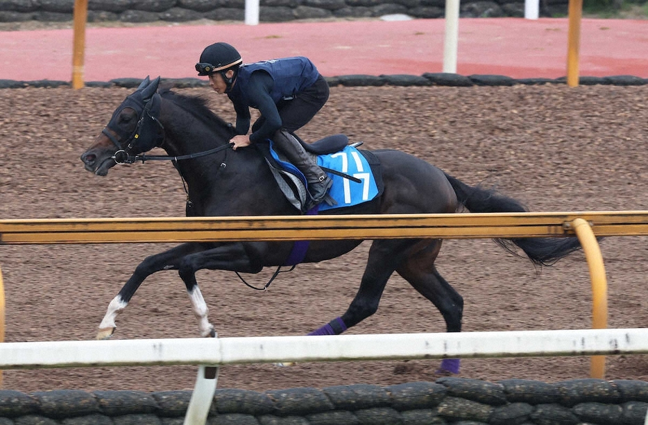 CWコースで追い切るジュンブロッサム（撮影・亀井直樹）