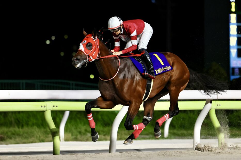 JDC・フォーエバーヤングと坂井瑠星騎手 (C)Hiroki Homma