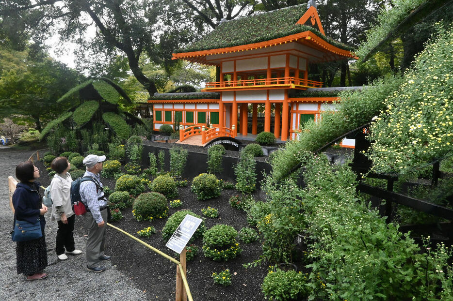 約8千鉢の菊で再現した上賀茂神社の盆景＝三島市立公園楽寿園