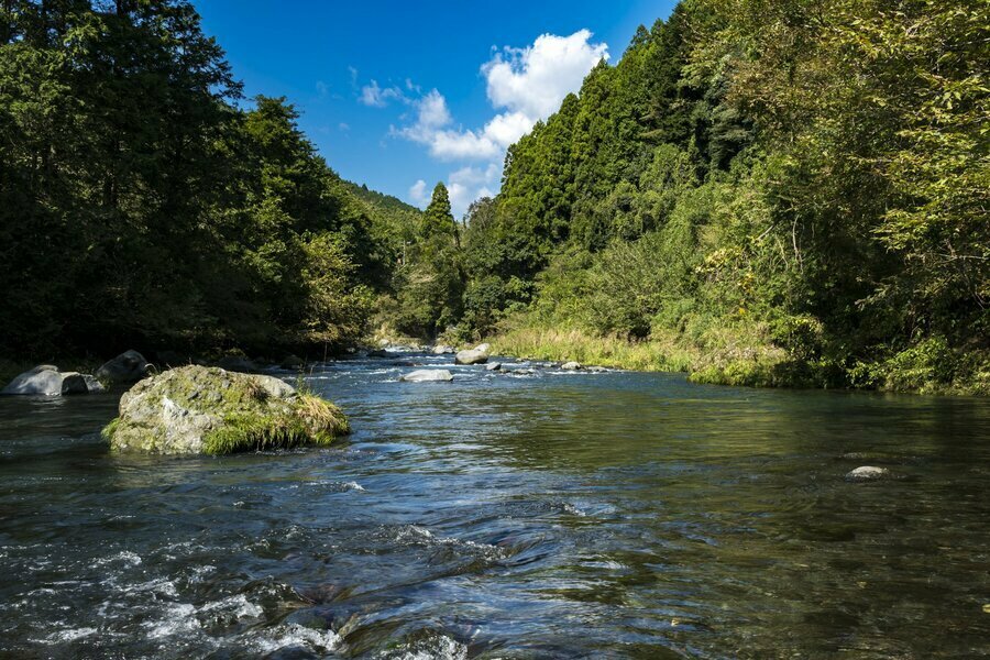 L字型の低い堰堤があるプールの上流側。左岸よりの流れ込みの反転流から大物が出ました