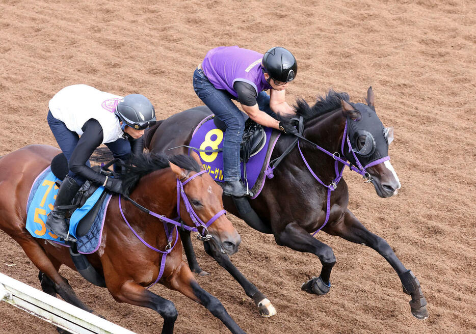 シュバルツクーゲル（右）は美浦坂路でネビュルーズと併せて追い切られた（撮影・丹羽敏通）