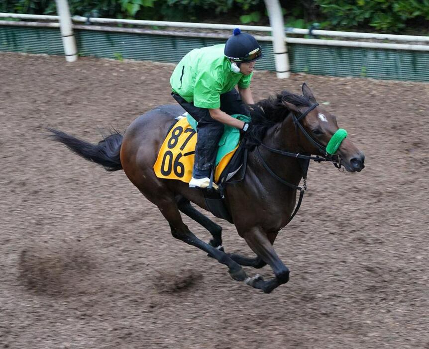 クランフォード＝栗東トレセン（撮影・岩川晋也）