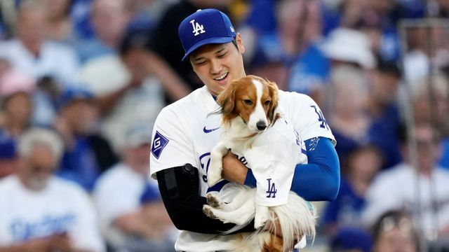 始球式に参加した大谷翔平選手の愛犬・デコピン(写真：AP/アフロ)