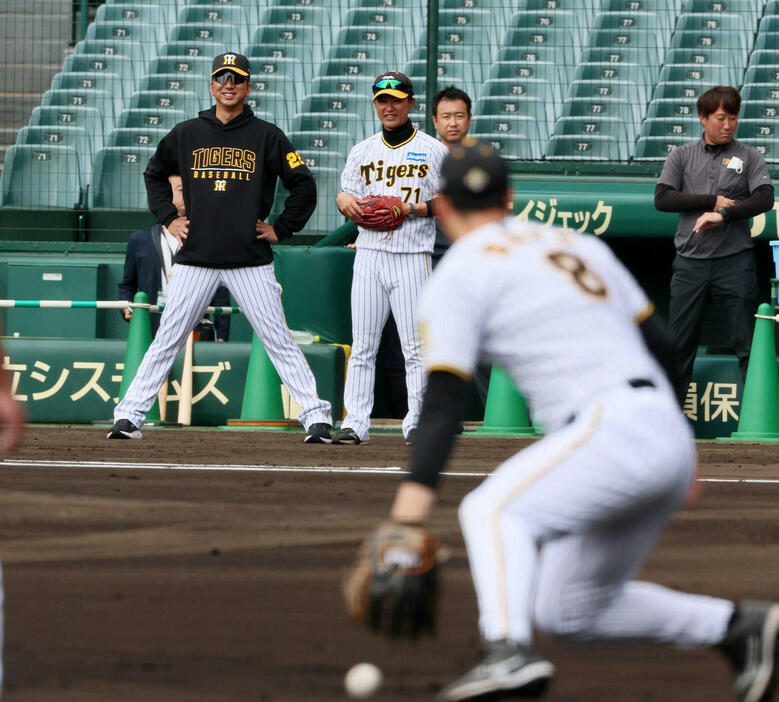 ノックを受ける佐藤輝を笑顔で見る藤川監督。右は上本コーチ（撮影・加藤哉）