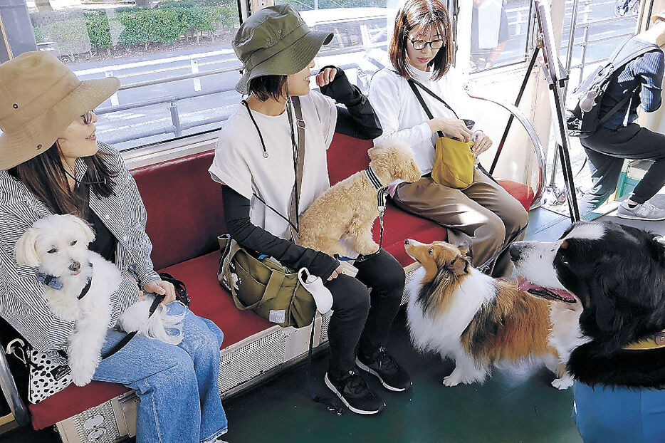 犬と一緒に市電を楽しむ愛犬家＝富山市内