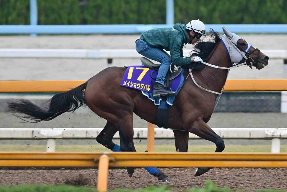 我慢の利いた走りを見せたメイショウタバル