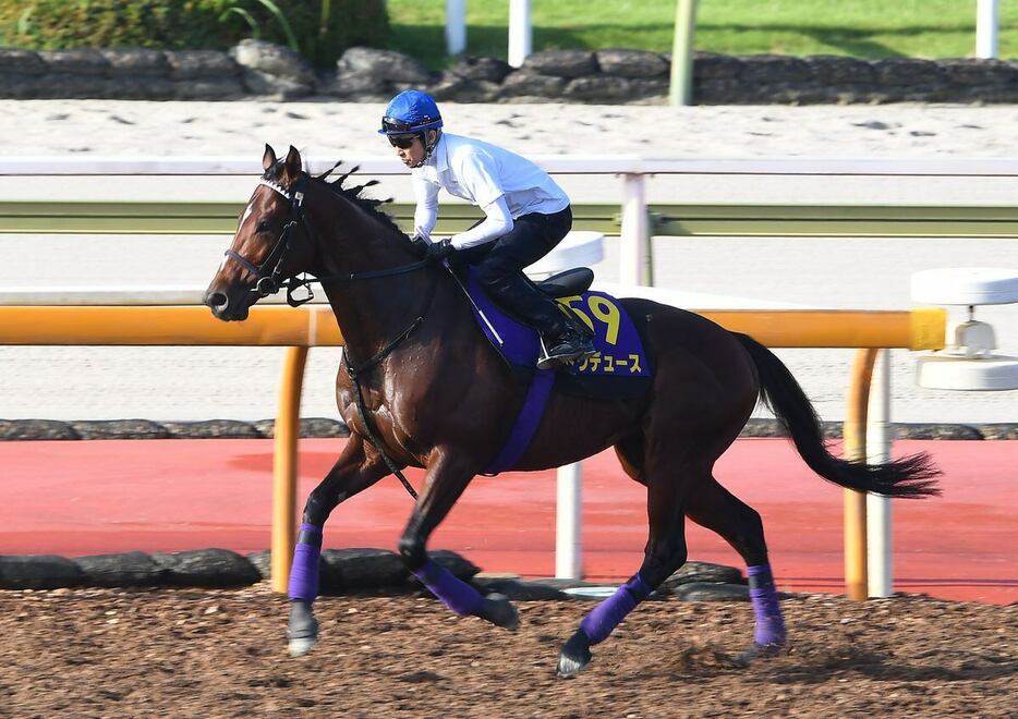 ドウデュースと武豊騎手＝栗東トレセン（撮影・岩川晋也）