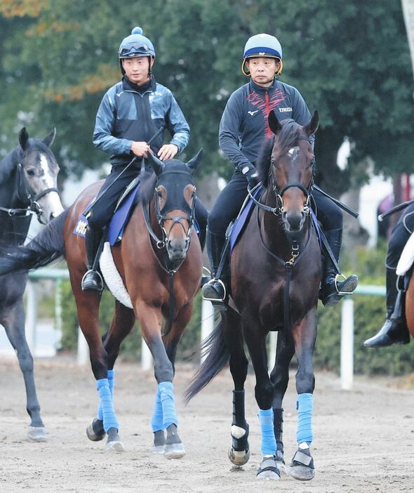 岩田康を背に馬場へ向かうノースブリッジ（右）。左は岩田望を背に馬場へ向かうホウオウビスケッツ＝美浦で