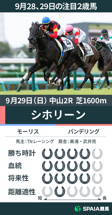 9月28、29日の注目2歳馬モーリス産駒シホリーン