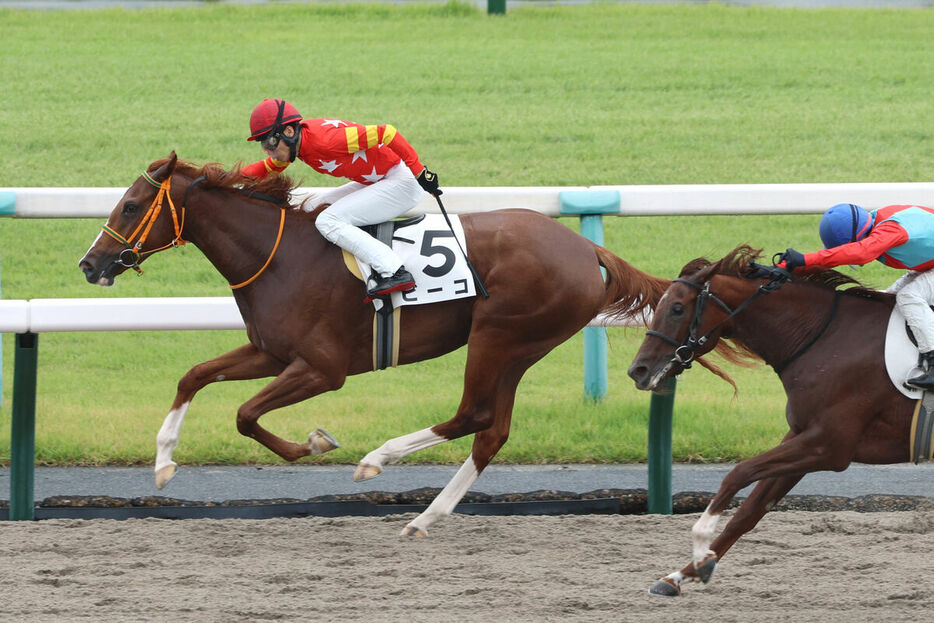 長岡禎仁騎手騎乗のビーコ（左）がバレンシアの追い込みをしのぎ逃げ切り勝ち（カメラ・高橋　由二）