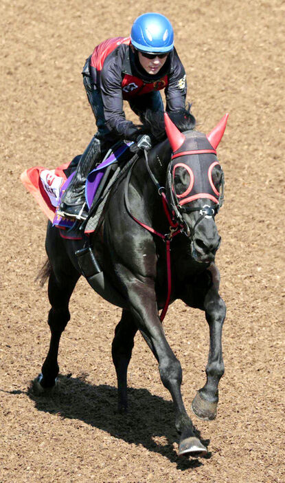 マイネルグロン（馬上は石神深一騎手）