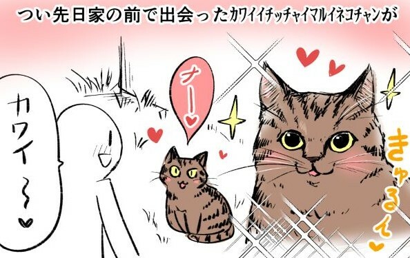 愛らしい小さな猫ちゃんかと思いきや……？（野愛におしさん提供）