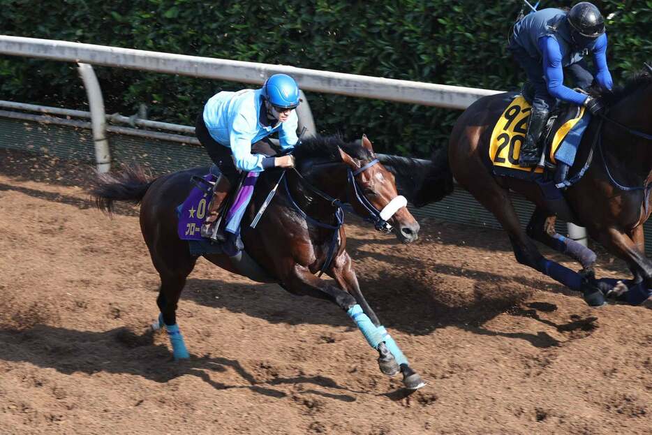 決戦へ向け態勢を整えるブローザホーン（左）