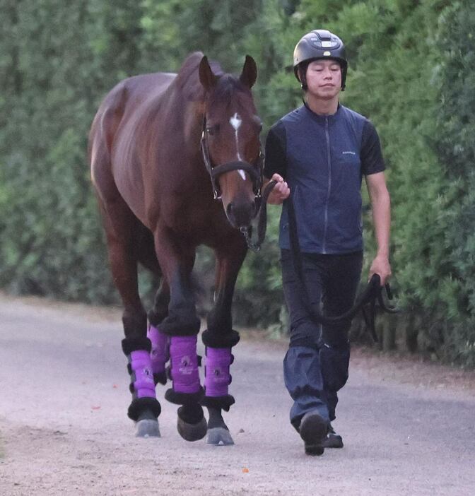 ドウデュース＝栗東トレセン（撮影・安部光翁）