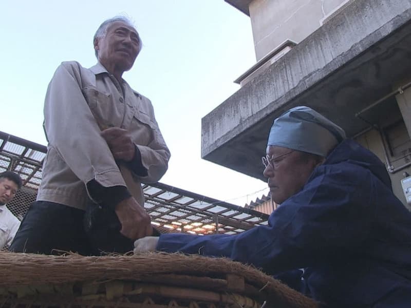 検診を受ける鵜と杉山雅彦鵜匠代表＝１７日、岐阜市長良