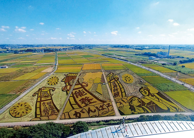 背景が刈り取られた田んぼアート