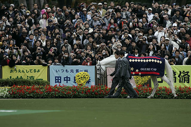 08年に東京競馬場に戻って来たオグリキャップ(撮影：下野雄規)