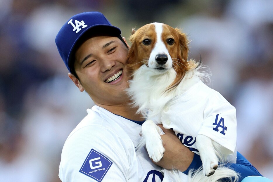 ドジャースの大谷翔平と愛犬デコピン。(C)Getty Images