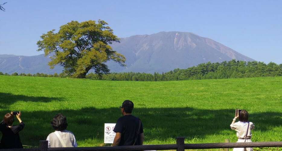 晴れた日にはサイクリングルートから一本桜と岩手山の絶景が楽しめる＝1日、岩手県雫石町（石田征広撮影）