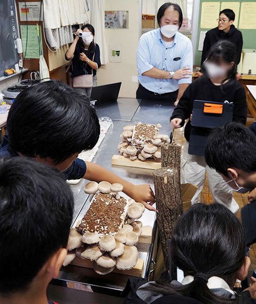 「ぶにぶにしてる！」初めて触れる生椎茸に興味津々