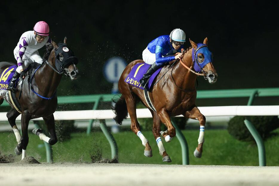 レモンポップが連覇達成。競りかけられても余裕があった（提供・岩手県競馬組合）