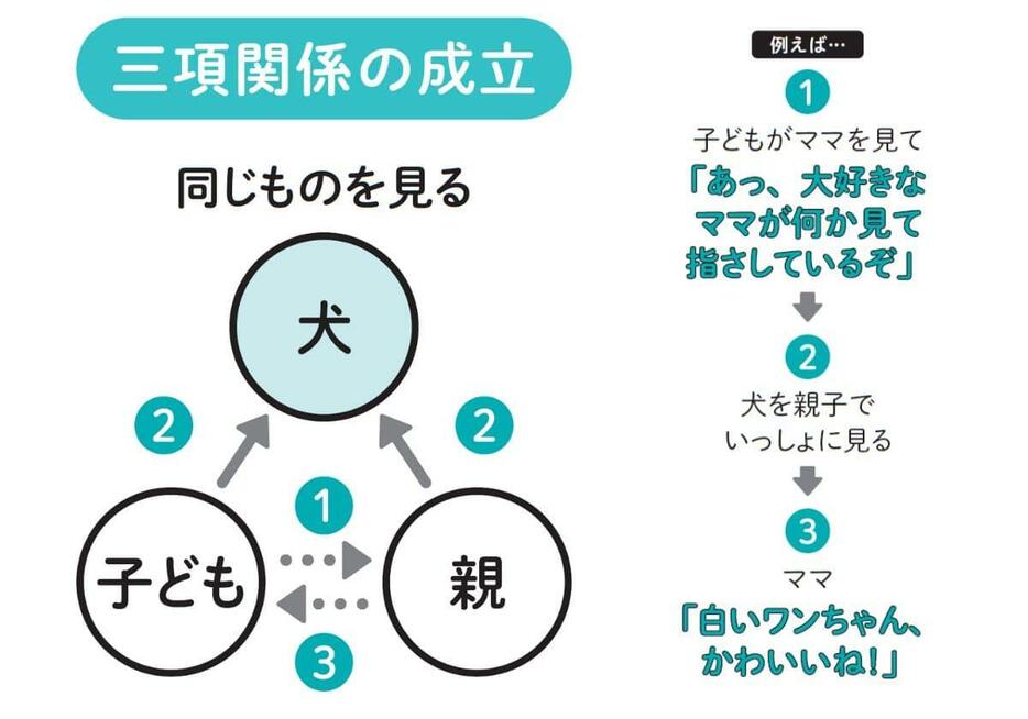 三項関係の成立