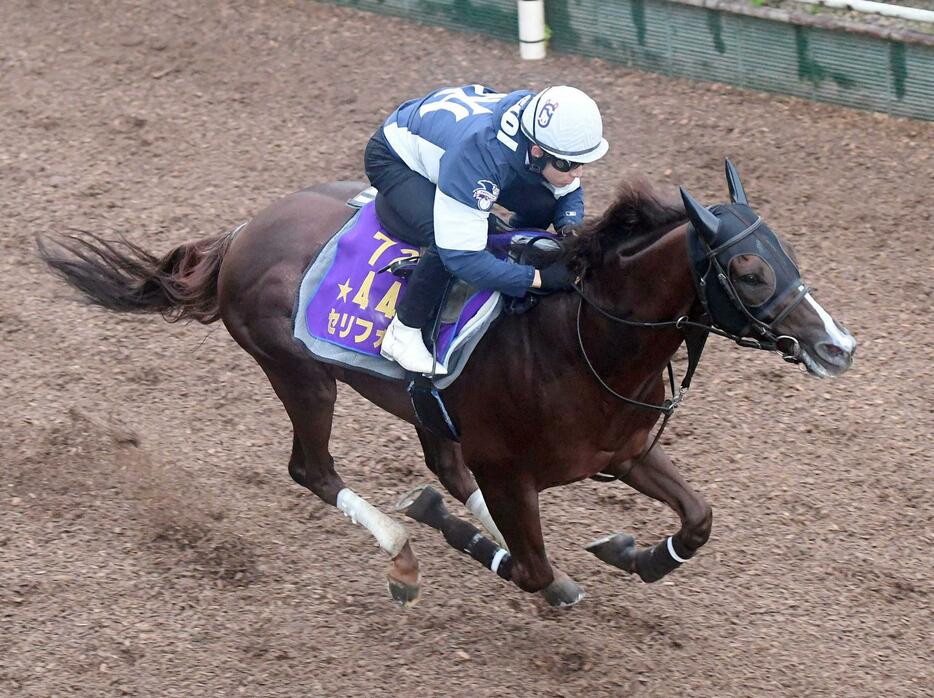 　万全の仕上がりを披露したセリフォス（撮影・石井剣太郎）